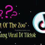 Arti Art Of The Zoo Tiktok
