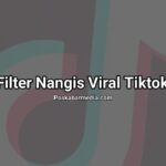 Filter Nangis Viral Tiktok