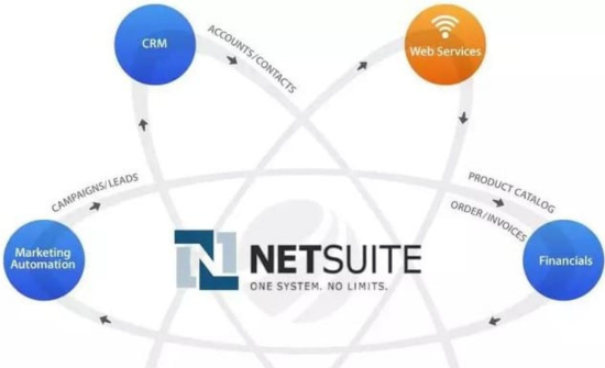 Use Netsuite ERP Solutions